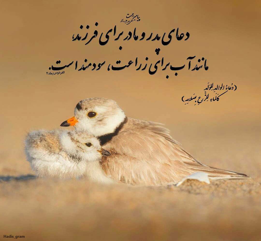 حدیثی از پیامبر اکرم در مورد دعای پدرومادر